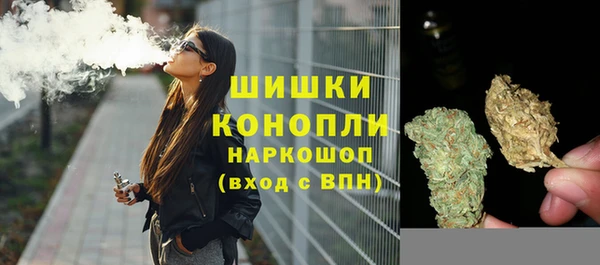 индика Аркадак