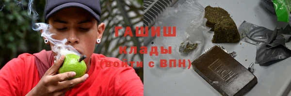 индика Аркадак