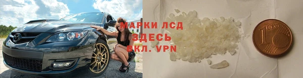 индика Аркадак