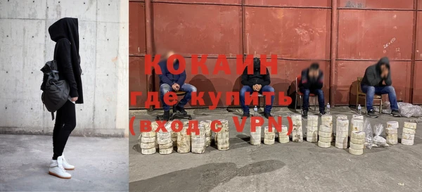 индика Аркадак