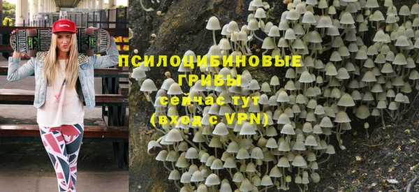 дмт Арсеньев