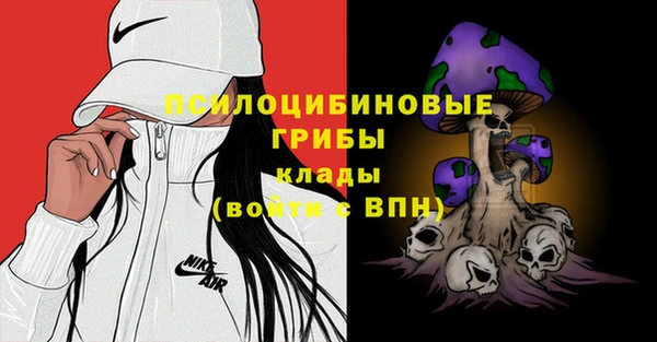 индика Аркадак