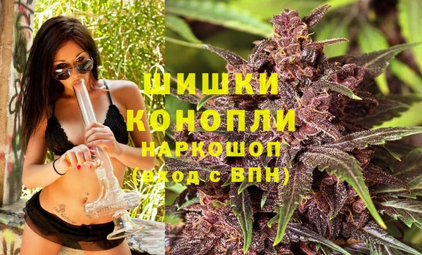дмт Арсеньев
