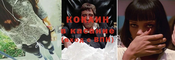 индика Аркадак
