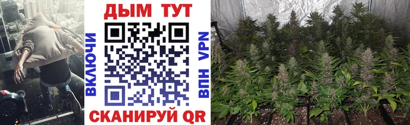 Конопля VHQ  Ирбит 